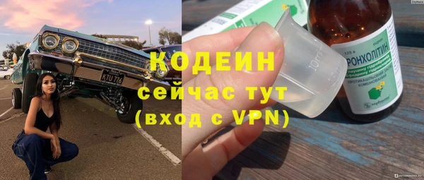 эйфоретик Арсеньев