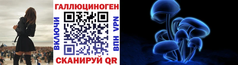 Галлюциногенные грибы GOLDEN TEACHER  Купить закладки  Амурск 