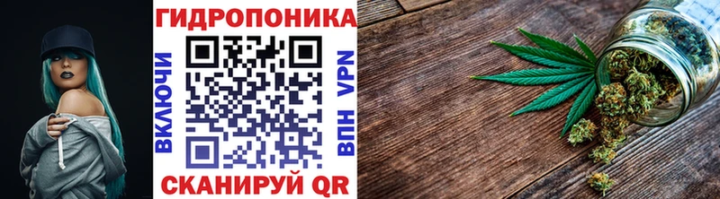 Канабис план  Купить где  Амурск 